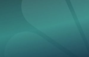 Donald Trump re-gagged in New York Donald Trump re-gagged in New York