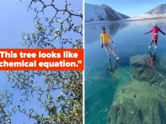 Oof That Felt Good — 16 Satisfying Photos That Are So Pleasing, You’ll Dump Your Mid Boyfriend Oof That Felt Good — 16 Satisfying Photos That Are So Pleasing, You’ll Dump Your Mid Boyfriend