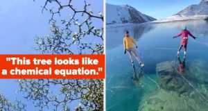 Oof That Felt Good — 16 Satisfying Photos That Are So Pleasing, You’ll Dump Your Mid Boyfriend Oof That Felt Good — 16 Satisfying Photos That Are So Pleasing, You’ll Dump Your Mid Boyfriend