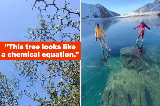 Oof That Felt Good — 16 Satisfying Photos That Are So Pleasing, You’ll Dump Your Mid Boyfriend Oof That Felt Good — 16 Satisfying Photos That Are So Pleasing, You’ll Dump Your Mid Boyfriend