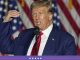 Biden campaign calls out Trump’s recent anti-immigrant comments as ‘parroting Adolf Hitler’ Biden campaign calls out Trump’s recent anti-immigrant comments as ‘parroting Adolf Hitler’
