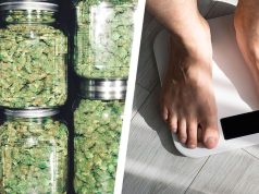 This Is What Weed Does for Weight Loss This Is What Weed Does for Weight Loss