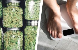 This Is What Weed Does for Weight Loss This Is What Weed Does for Weight Loss