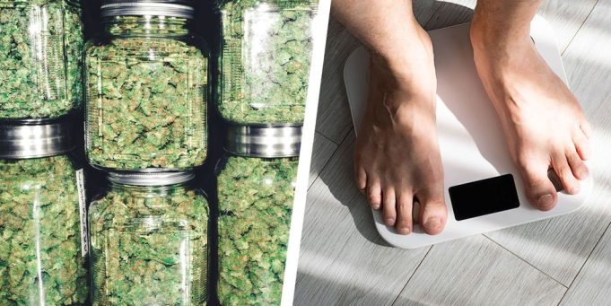 This Is What Weed Does for Weight Loss This Is What Weed Does for Weight Loss