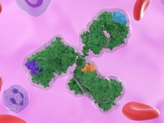 Monoclonal Antibodies: A New Treatment for Long COVID? Monoclonal Antibodies: A New Treatment for Long COVID?