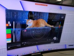 NASA beamed a video of a cat named Taters from deep space to Earth NASA beamed a video of a cat named Taters from deep space to Earth