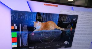 NASA beamed a video of a cat named Taters from deep space to Earth NASA beamed a video of a cat named Taters from deep space to Earth