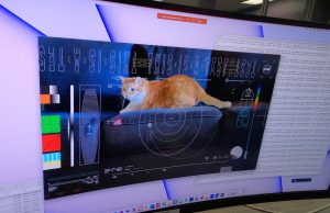 NASA beamed a video of a cat named Taters from deep space to Earth NASA beamed a video of a cat named Taters from deep space to Earth