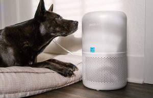 The best air purifiers for pets in 2024, tested and reviewed The best air purifiers for pets in 2024, tested and reviewed