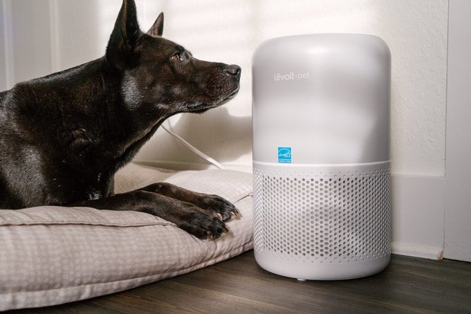 The best air purifiers for pets in 2024, tested and reviewed The best air purifiers for pets in 2024, tested and reviewed