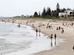 Teen Surfer Dies In South Australia State’s Third Fatal Shark Attack This Year Teen Surfer Dies In South Australia State’s Third Fatal Shark Attack This Year