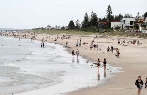Teen Surfer Dies In South Australia State’s Third Fatal Shark Attack This Year Teen Surfer Dies In South Australia State’s Third Fatal Shark Attack This Year
