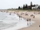Teen Surfer Dies In South Australia State’s Third Fatal Shark Attack This Year Teen Surfer Dies In South Australia State’s Third Fatal Shark Attack This Year