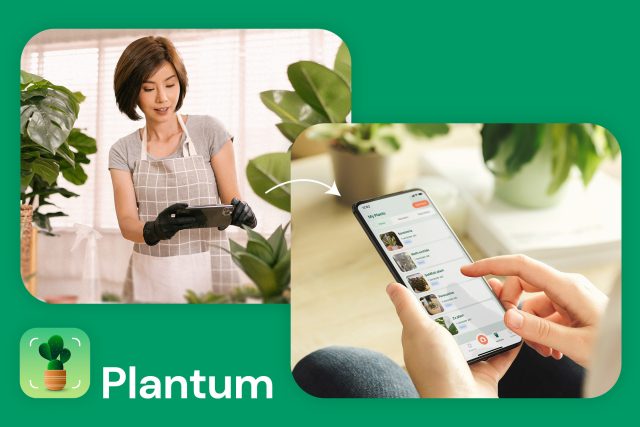 New year, new plants — this AI tool will help you take better care and it’s $45 off New year, new plants — this AI tool will help you take better care and it’s $45 off